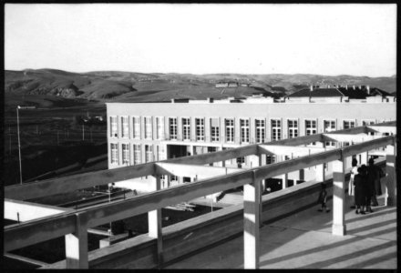 CH-NB - Türkei, Ankara- Landwirtschaftliche Hochschule - Annemarie Schwarzenbach - SLA-Schwarzenbach-A-5-02-080