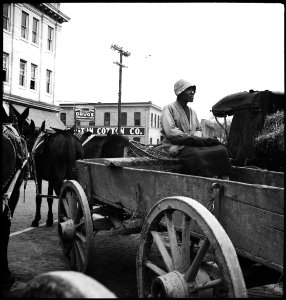 CH-NB - USA, Montgomery-AL- Menschen - Annemarie Schwarzenbach - SLA-Schwarzenbach-A-5-11-038