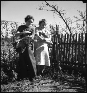 CH-NB - USA, Pine Mountain Valley-GA- Menschen - Annemarie Schwarzenbach - SLA-Schwarzenbach-A-5-11-137
