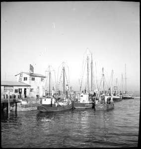 CH-NB - USA, Charleston-SC- Hafen - Annemarie Schwarzenbach - SLA-Schwarzenbach-A-5-11-173