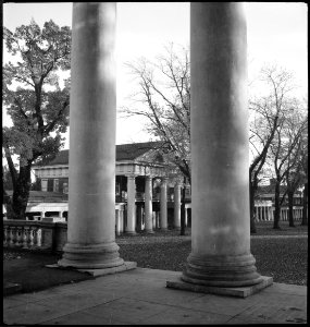 CH-NB - USA, Charlottesville-VA- Universität - Annemarie Schwarzenbach - SLA-Schwarzenbach-A-5-11-275