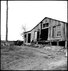CH-NB - USA, Cumberland Mountains-TN- Landschaft - Annemarie Schwarzenbach - SLA-Schwarzenbach-A-5-10-173
