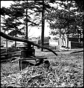 CH-NB - USA, Cumberland Mountains-TN- Sägerei - Annemarie Schwarzenbach - SLA-Schwarzenbach-A-5-09-041