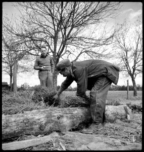 CH-NB - USA, Gruetli-TN- Farm - Annemarie Schwarzenbach - SLA-Schwarzenbach-A-5-10-147