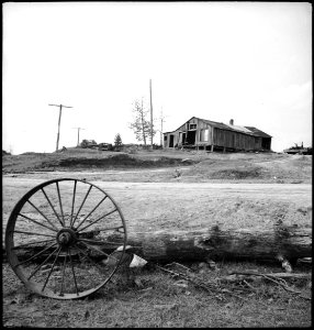 CH-NB - USA, Cumberland Mountains-TN- Landschaft - Annemarie Schwarzenbach - SLA-Schwarzenbach-A-5-10-172