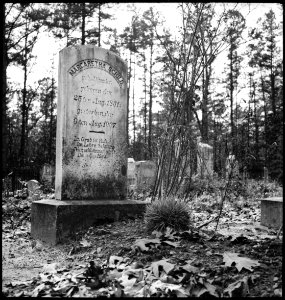 CH-NB - USA, Gruetli-TN- Friedhof - Annemarie Schwarzenbach - SLA-Schwarzenbach-A-5-10-159