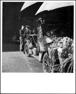 CH-NB - USA, Knoxville-TN- Markt - Annemarie Schwarzenbach - SLA-Schwarzenbach-A-5-10-269