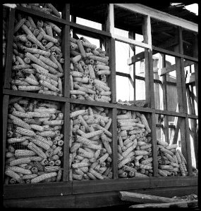CH-NB - USA- Gebäude - Annemarie Schwarzenbach - SLA-Schwarzenbach-A-5-10-021
