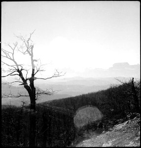 CH-NB - USA, Mount Pleasant-PA- Landschaft - Annemarie Schwarzenbach - SLA-Schwarzenbach-A-5-11-292