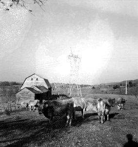 CH-NB - USA, Norris-TN- Norris (Lokalisierung unsicher) - Annemarie Schwarzenbach - SLA-Schwarzenbach-A-5-09-078