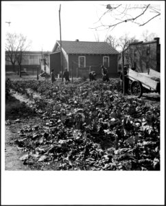 CH-NB - USA, Pine Mountain Valley-GA- Menschen - Annemarie Schwarzenbach - SLA-Schwarzenbach-A-5-10-138