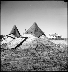 CH-NB - USA, Pine Mountain Valley-GA- Landschaft - Annemarie Schwarzenbach - SLA-Schwarzenbach-A-5-11-125