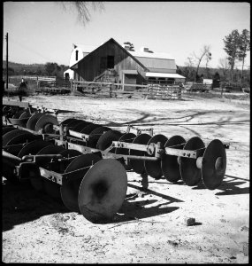 CH-NB - USA, Pine Mountain Valley-GA- Landschaft - Annemarie Schwarzenbach - SLA-Schwarzenbach-A-5-11-132