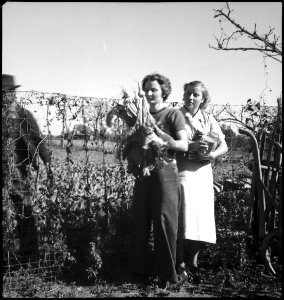 CH-NB - USA, Pine Mountain Valley-GA- Menschen - Annemarie Schwarzenbach - SLA-Schwarzenbach-A-5-11-141