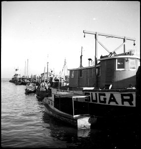 CH-NB - USA, Savannah-GA- Hafen - Annemarie Schwarzenbach - SLA-Schwarzenbach-A-5-09-034