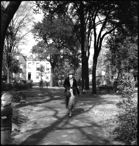CH-NB - USA, Savannah-GA- Park - Annemarie Schwarzenbach - SLA-Schwarzenbach-A-5-11-108