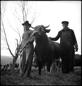 CH-NB - USA, Scotts Run-WV- Landwirtschaft - Annemarie Schwarzenbach - SLA-Schwarzenbach-A-5-11-246