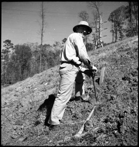 CH-NB - USA, Tennessee Valley-TN- Landarbeiter - Annemarie Schwarzenbach - SLA-Schwarzenbach-A-5-09-066 photo