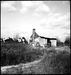 CH-NB - USA, zwischen Montgomery-AL und Columbus-GA- Hütte - Annemarie Schwarzenbach - SLA-Schwarzenbach-A-5-11-051