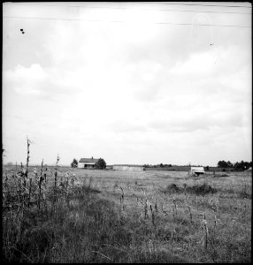 CH-NB - USA, zwischen Montgomery-AL und Columbus-GA- Landschaft - Annemarie Schwarzenbach - SLA-Schwarzenbach-A-5-11-077