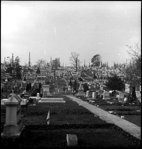 CH-NB - USA- Friedhof - Annemarie Schwarzenbach - SLA-Schwarzenbach-A-5-09-045