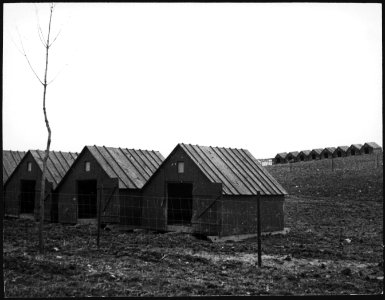 CH-NB - USA- Landwirtschaft - Annemarie Schwarzenbach - SLA-Schwarzenbach-A-5-09-021