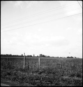 CH-NB - USA, zwischen Montgomery-AL und Columbus-GA- Landschaft - Annemarie Schwarzenbach - SLA-Schwarzenbach-A-5-11-050
