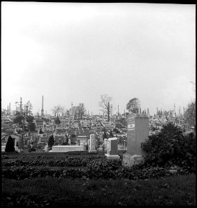 CH-NB - USA- Friedhof - Annemarie Schwarzenbach - SLA-Schwarzenbach-A-5-09-044