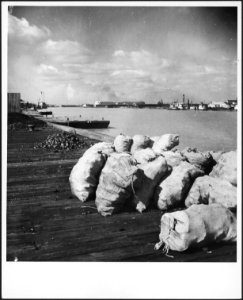 CH-NB - USA- Hafen - Annemarie Schwarzenbach - SLA-Schwarzenbach-A-5-09-009