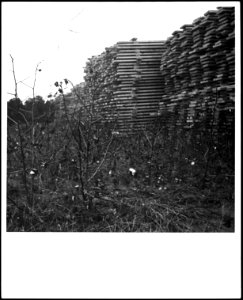 CH-NB - USA- Sägerei - Annemarie Schwarzenbach - SLA-Schwarzenbach-A-5-09-011