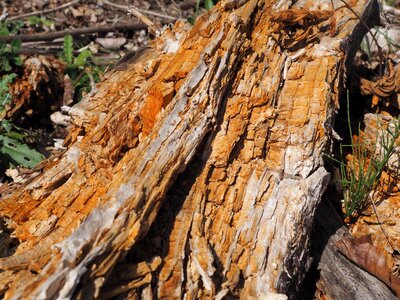 Old weathered structure photo