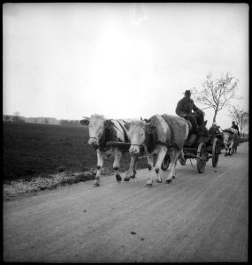 CH-NB - Österreich- Landschaft - Annemarie Schwarzenbach - SLA-Schwarzenbach-A-5-18-044
