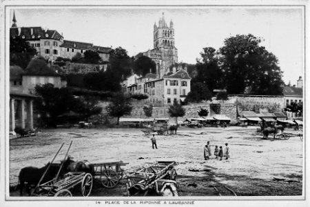 CH-NB-Souvenir Lac Léman, Lausanne-18967-page008