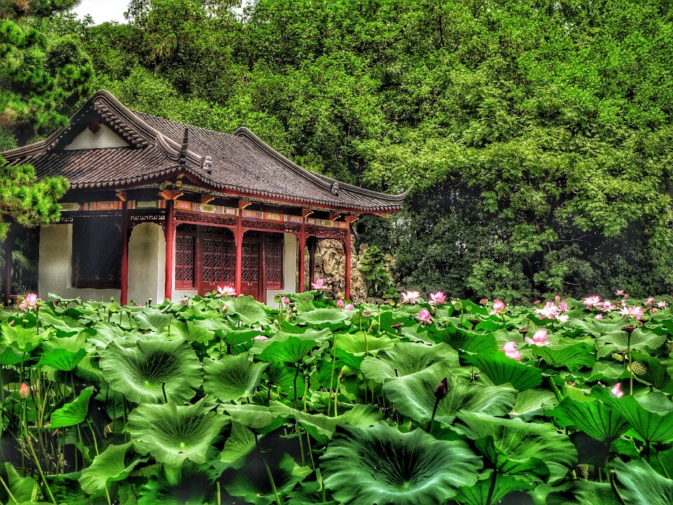 Pink summer chamber