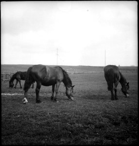 CH-NB - Österreich- Landschaft - Annemarie Schwarzenbach - SLA-Schwarzenbach-A-5-18-040