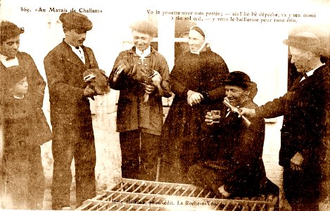 Challans le marché des volailles