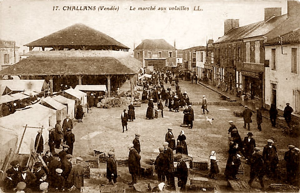 Challans Marché aux volailles