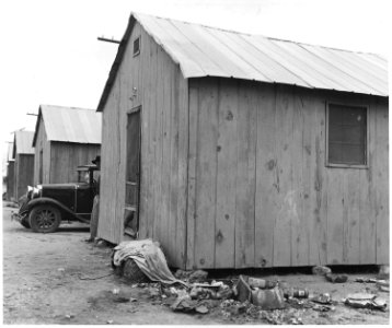 Chandler, Maricopa County, Arizona. Auto camp for cotton pickers. Sixteen one-room cabins, rent - $1 . . . - NARA - 522532