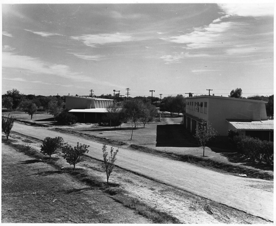 Chandler, Maricopa County, Arizona. Housing on FSA cooperative part-time farm, after 3 years of occu . . . - NARA - 522480