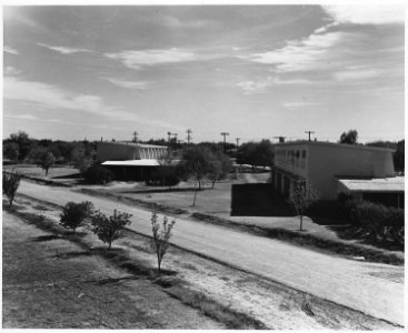 Chandler, Maricopa County, Arizona. Housing on FSA cooperative part-time farm, after 3 years of occu . . . - NARA - 522480