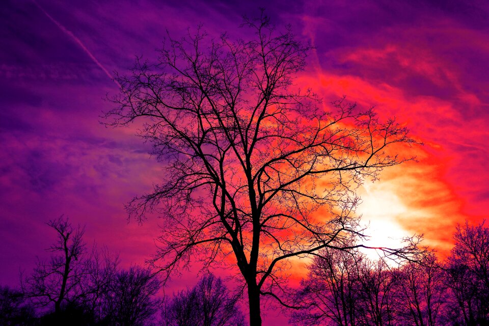 Sunset sky sunset sky