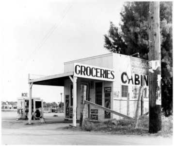Chandler, Maricopa County, Arizona. Store run by operator of private auto camp for cotton pickers. H . . . - NARA - 522546