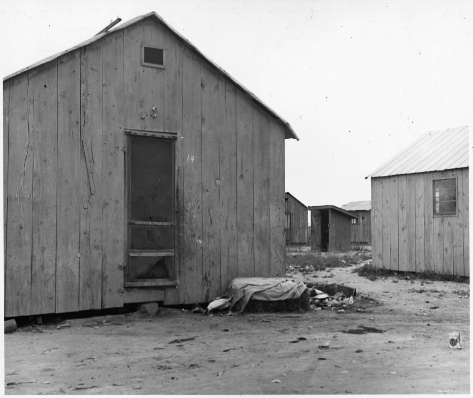 Chandler, Maricopa County, Arizona. Auto camp for cotton pickers. Sixteen one-room cabins, rent - $1 . . . - NARA - 522534