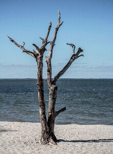 Beach sand island