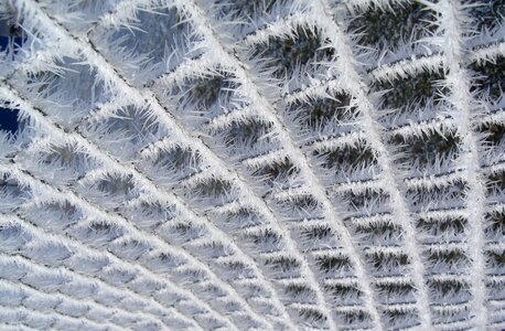 Wintry frozen wire mesh fence photo
