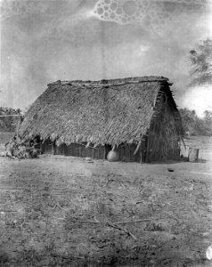 Chanéhydda. Gåva av Erland Nordenskiöld, okänt år. Sydamerika. Bolivia - SMVK - 004958