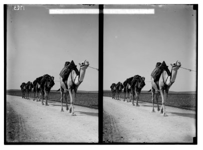 Characters and industries, etc. Crossing desert to Euphrates LOC matpc.02205