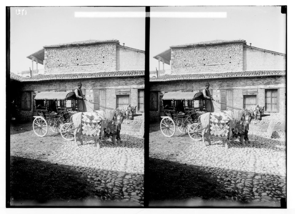 Characters and industries, etc. Curious carriages of Aleppo LOC matpc.02203