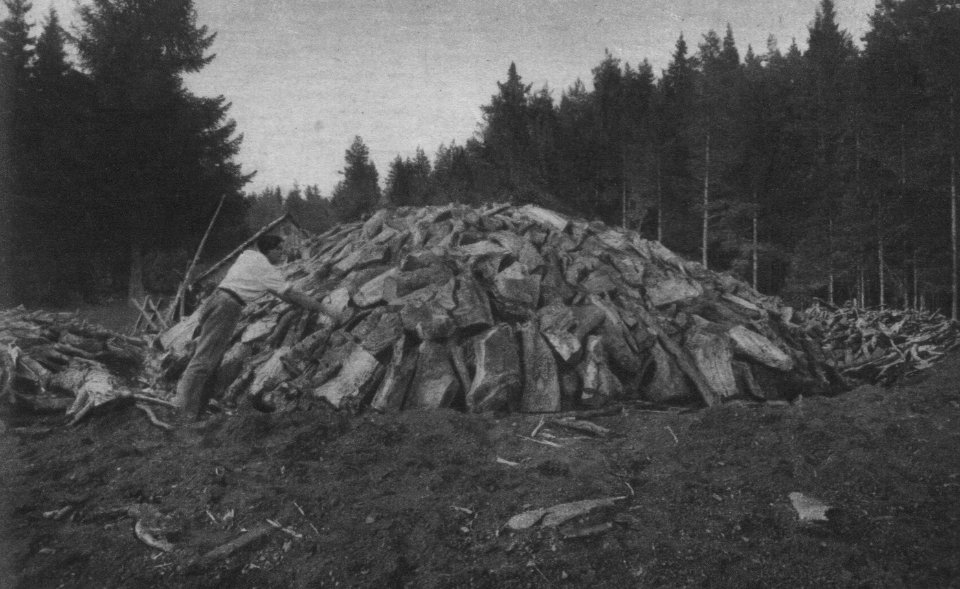 Charcoal pile 04