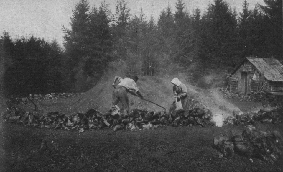Charcoal pile 08